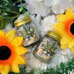 ยาดมสมุนไพรกัญชา 789 ทองไทยเฮิร์บ