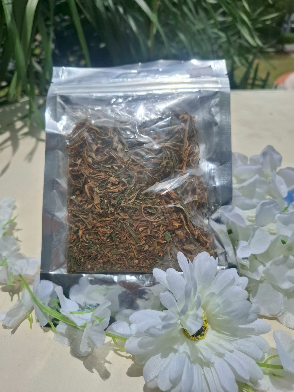 ใบกัญอบแห้ง 789 ทองไทยเฮิร์บ