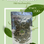 ใบกัญอบแห้ง 789 ทองไทยเฮิร์บ