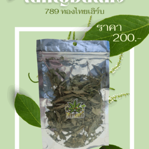 ใบกัญอบแห้ง 789 ทองไทยเฮิร์บ