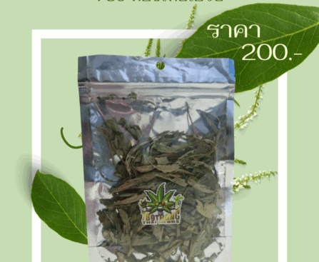 ใบกัญอบแห้ง 789 ทองไทยเฮิร์บ