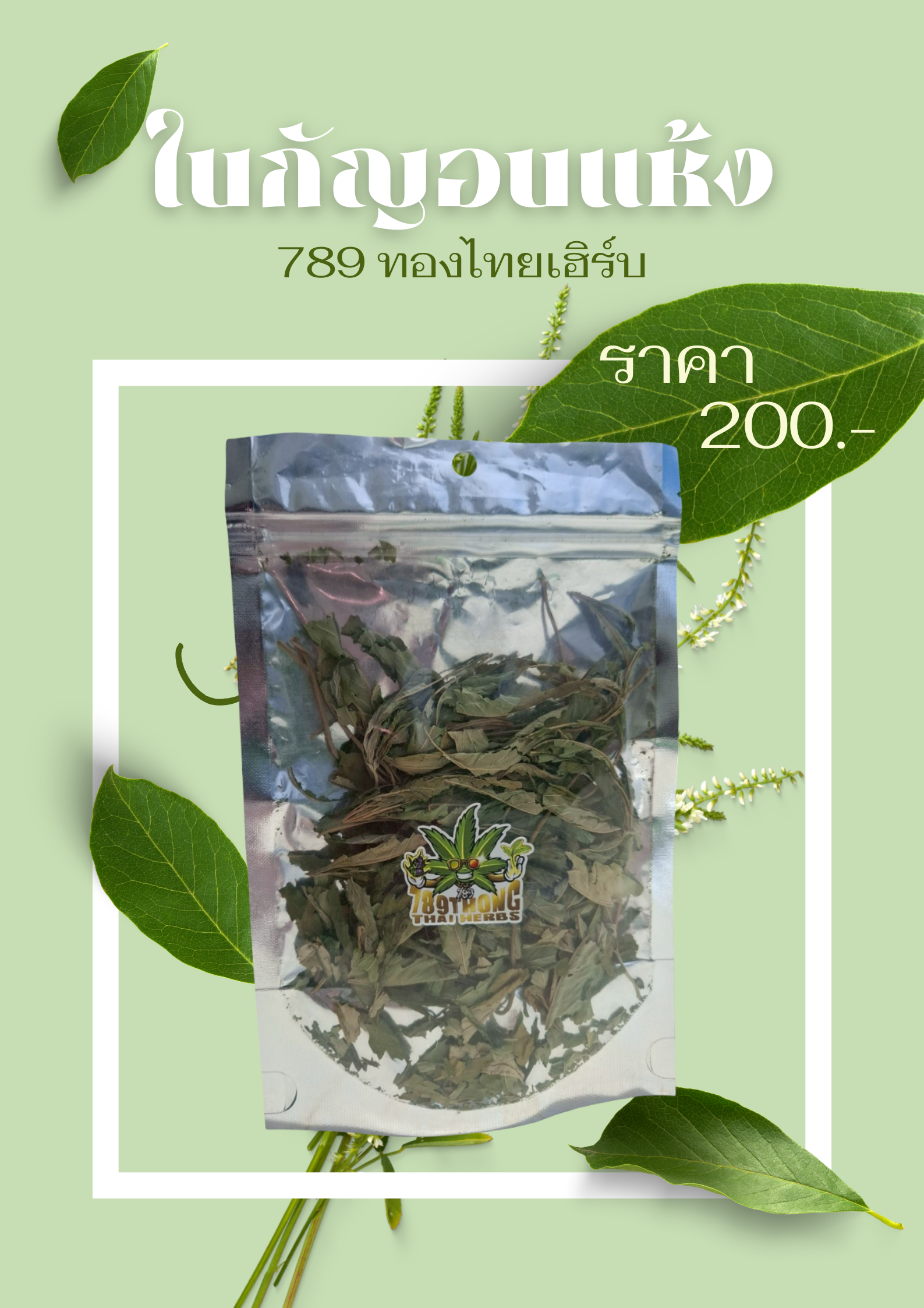 ใบกัญอบแห้ง 789 ทองไทยเฮิร์บ