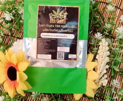 ใบชากัญชง สมุนไพรจากธรรมชาติ